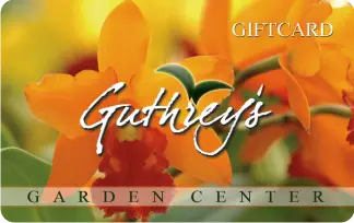 Guthrey's Garden Center Gift Card